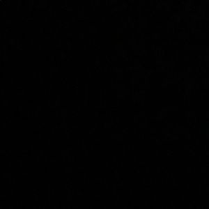 Meet your Posher, Timmy